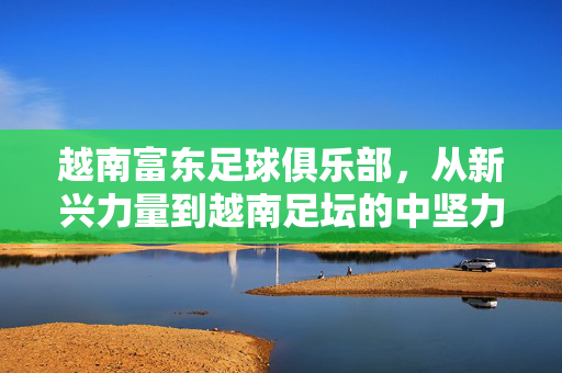 越南富东足球俱乐部,从新兴力量到越南足坛的中坚力量
