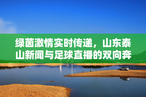 绿茵激情实时传递，山东泰山新闻与足球直播的双向奔赴，山东泰山新闻与足球直播，绿茵激情的双向奔赴