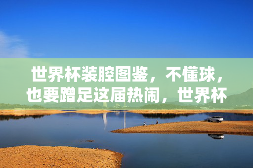 世界杯装腔图鉴,不懂球,也要蹭足这届热闹,世界杯装腔图鉴,不懂球也能蹭足热闹