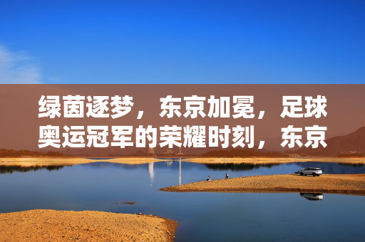绿茵逐梦,东京加冕,足球奥运冠军的荣耀时刻,东京绿茵加冕,足球奥运冠军荣耀时刻