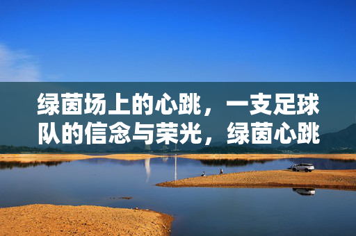 绿茵场上的心跳,一支足球队的信念与荣光,绿茵心跳,足球队的信念与荣光