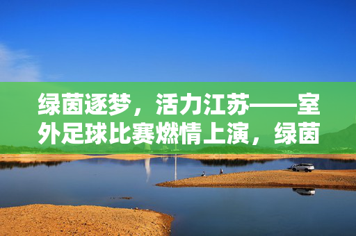 绿茵逐梦,活力江苏——室外足球比赛燃情上演,绿茵逐梦,活力江苏足球赛燃情上演