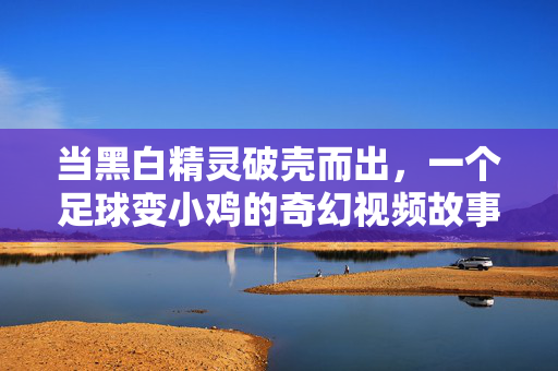 当黑白精灵破壳而出,一个足球变小鸡的奇幻视频故事,黑白精灵破壳记,足球奇幻孵小鸡