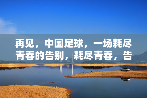 再见,中国足球,一场耗尽青春的告别,耗尽青春,告别中国足球
