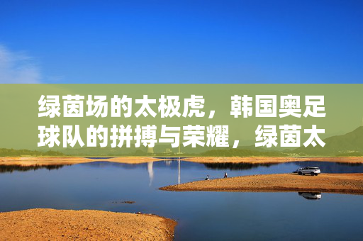 绿茵场的太极虎,韩国奥足球队的拼搏与荣耀,绿茵太极虎,韩国奥足的拼搏与荣耀