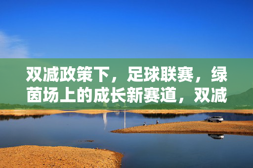 双减政策下，足球联赛，绿茵场上的成长新赛道，双减政策下，足球联赛，绿茵场上的成长新赛道