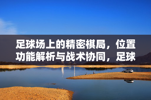 足球场上的精密棋局，位置功能解析与战术协同，足球场精密棋局，位置功能与战术协同