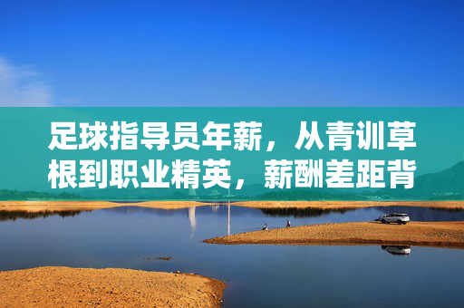 足球指导员年薪，从青训草根到职业精英，薪酬差距背后的价值密码，足球指导员年薪，青训草根到职业精英的薪酬差距与价值密码