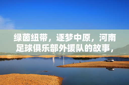 绿茵纽带，逐梦中原，河南足球俱乐部外援队的故事，绿茵纽带逐梦中原，河南外援队