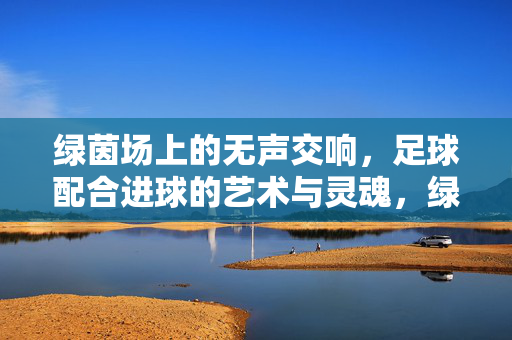绿茵场上的无声交响，足球配合进球的艺术与灵魂，绿茵无声交响，足球配合的艺术与灵魂
