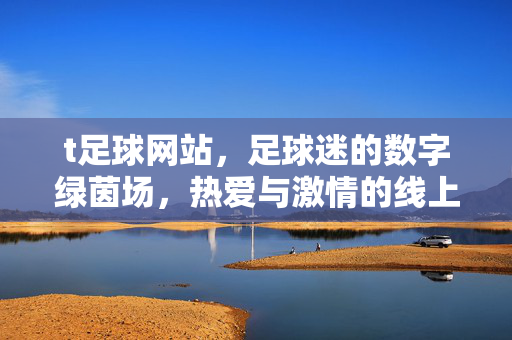 t足球网站，足球迷的数字绿茵场，热爱与激情的线上聚集地，足球迷的数字绿茵场，热爱与激情的线上聚集地