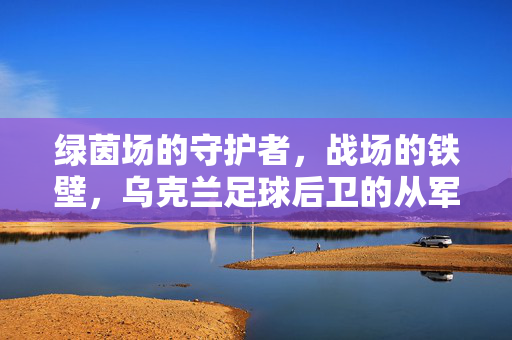 绿茵场的守护者，战场的铁壁，乌克兰足球后卫的从军之路，乌克兰后卫，从绿茵守护者到战场铁壁