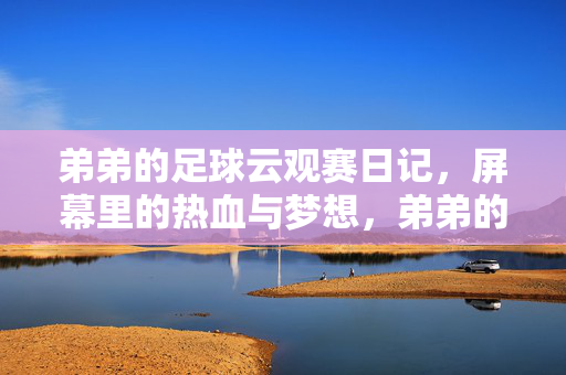 弟弟的足球云观赛日记，屏幕里的热血与梦想，弟弟的足球云观赛日记，屏幕里的热血与梦想