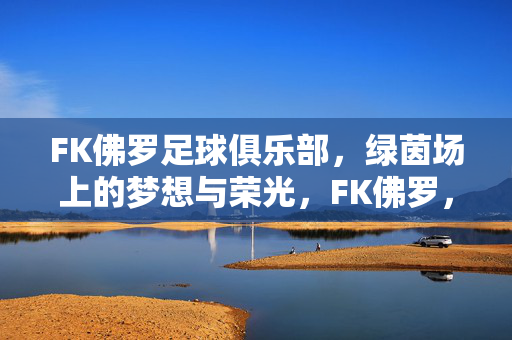 FK佛罗足球俱乐部，绿茵场上的梦想与荣光，FK佛罗，绿茵梦想与荣光