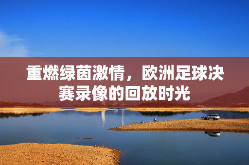 重燃绿茵激情,欧洲足球决赛录像的回放时光