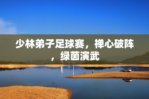 少林弟子足球赛,禅心破阵,绿茵演武