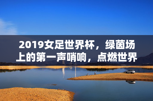 2019女足世界杯,绿茵场上的第一声哨响,点燃世界目光,2019女足世界杯首哨点燃世界目光