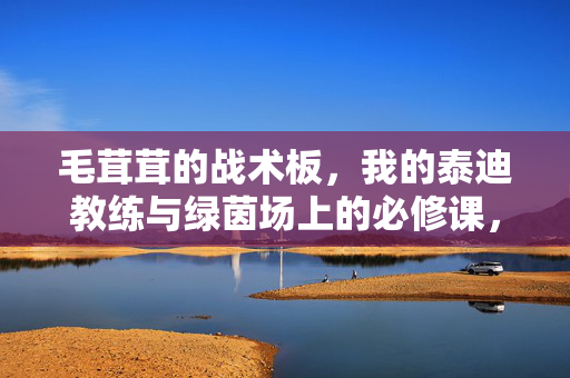 毛茸茸的战术板,我的泰迪教练与绿茵场上的必修课,毛茸茸的战术板,泰迪教练的绿茵场必修课