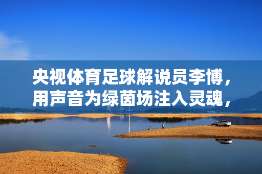 央视体育足球解说员李博，用声音为绿茵场注入灵魂，李博，绿茵场的灵魂之声