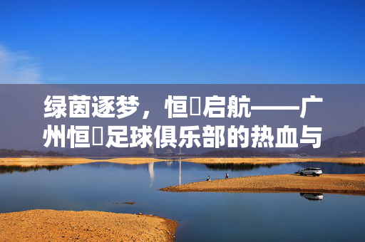 绿茵逐梦,恒煕启航——广州恒煕足球俱乐部的热血与坚守,绿茵逐梦,恒熙启航,广州足球俱乐部的热血与坚守