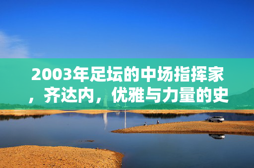 2003年足坛的中场指挥家,齐达内,优雅与力量的史诗交响,2003年齐达内,优雅与力量的中场史诗交响