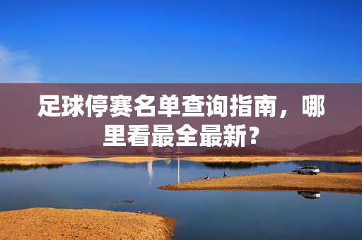 足球停赛名单查询指南,哪里看最全最新?