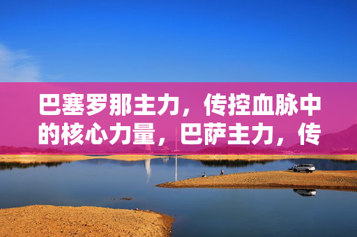 巴塞罗那主力,传控血脉中的核心力量,巴萨主力,传控血脉的核心力量