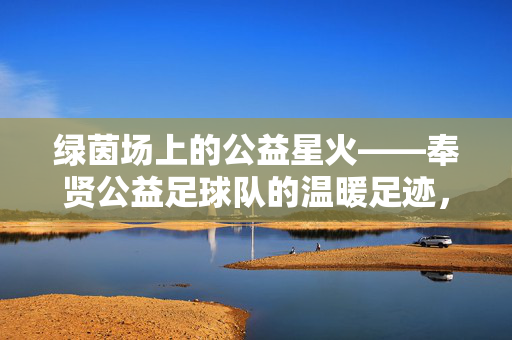 绿茵场上的公益星火——奉贤公益足球队的温暖足迹，公益星火耀绿茵——奉贤公益足球队的温暖足迹