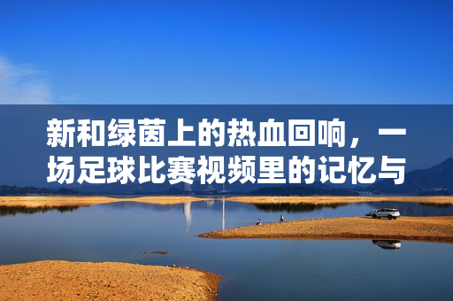 新和绿茵上的热血回响,一场足球比赛视频里的记忆与温度,新和绿茵上的热血回响,足球记忆的温度