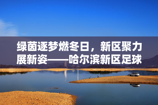 绿茵逐梦燃冬日，新区聚力展新姿——哈尔滨新区足球赛圆满落幕，哈尔滨新区足球赛圆满落幕，绿茵逐梦聚力展新姿