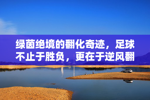 绿茵绝境的翻化奇迹,足球不止于胜负,更在于逆风翻盘的勇气,绿茵绝境的逆风翻盘勇气奇迹