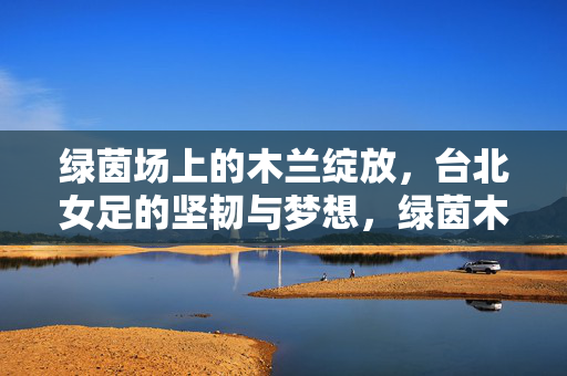 绿茵场上的木兰绽放,台北女足的坚韧与梦想,绿茵木兰绽放,台北女足的坚韧与逐梦