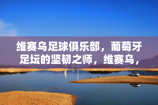 维赛乌足球俱乐部,葡萄牙足坛的坚韧之师,维赛乌,葡萄牙足坛的坚韧之师