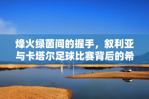 烽火绿茵间的握手,叙利亚与卡塔尔足球比赛背后的希望与团结,烽火绿茵间的握手,叙利亚与卡塔尔足球赛的希望与团结