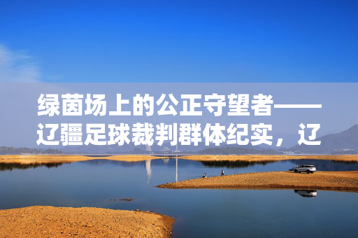 绿茵场上的公正守望者——辽疆足球裁判群体纪实，辽疆足球裁判，绿茵场上的公正守望者