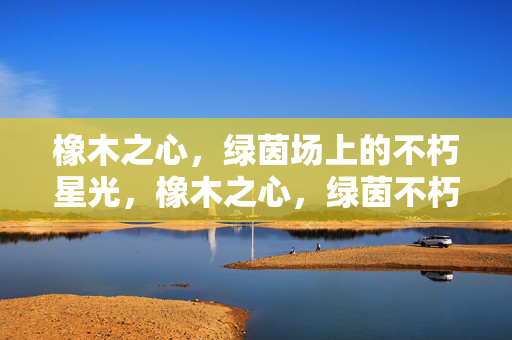 橡木之心，绿茵场上的不朽星光，橡木之心，绿茵不朽星光