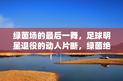 绿茵场的最后一舞，足球明星退役的动人片断，绿茵绝唱，足球明星的最后一舞