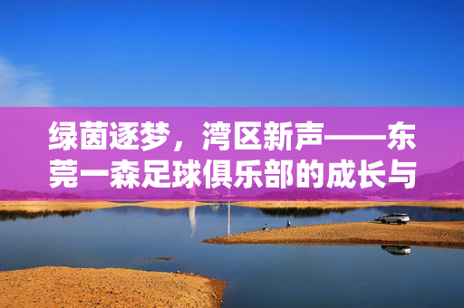绿茵逐梦，湾区新声——东莞一森足球俱乐部的成长与坚守，东莞一森，绿茵逐梦湾区的成长与坚守
