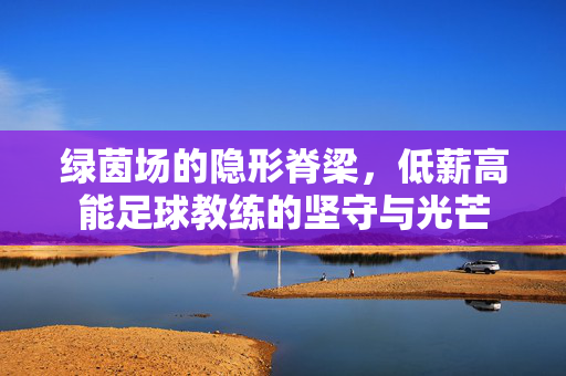 绿茵场的隐形脊梁,低薪高能足球教练的坚守与光芒