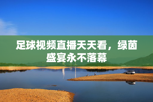 足球视频直播天天看，绿茵盛宴永不落幕