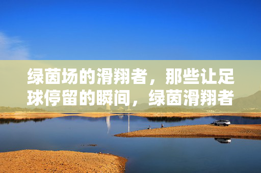 绿茵场的滑翔者，那些让足球停留的瞬间，绿茵滑翔者，足球凝驻的瞬间