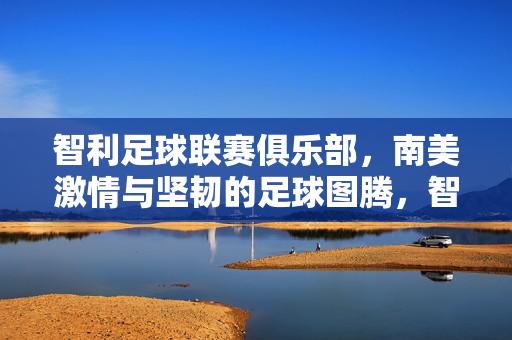 智利足球联赛俱乐部，南美激情与坚韧的足球图腾，智利足球俱乐部，南美激情与坚韧的足球图腾