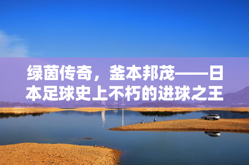 绿茵传奇，釜本邦茂——日本足球史上不朽的进球之王，绿茵传奇，日本足球史上不朽的进球之王釜本邦茂