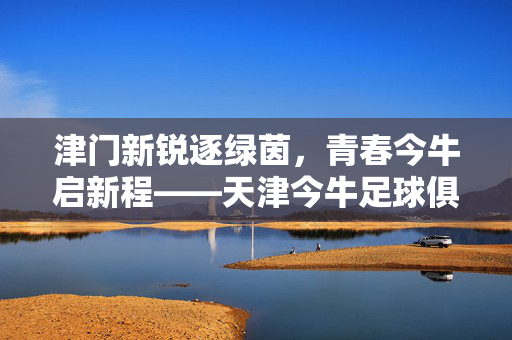 津门新锐逐绿茵，青春今牛启新程——天津今牛足球俱乐部的崛起之路，津门新锐今牛崛起之路