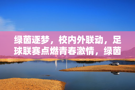 绿茵逐梦，校内外联动，足球联赛点燃青春激情，绿茵联赛联动校内外，青春逐梦点燃激情