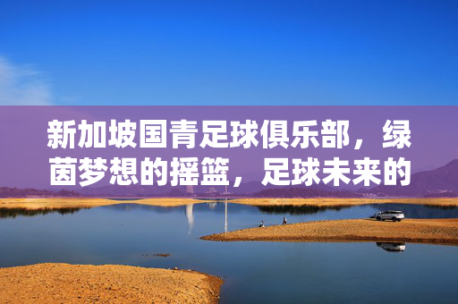 新加坡国青足球俱乐部，绿茵梦想的摇篮，足球未来的希望，新加坡国青足球俱乐部，绿茵梦想摇篮，足球未来希望