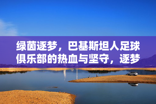 绿茵逐梦,巴基斯坦人足球俱乐部的热血与坚守,逐梦绿茵,巴基斯坦人足球俱乐部的热血与坚守
