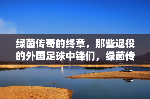 绿茵传奇的终章，那些退役的外国足球中锋们，绿茵传奇终章，那些退役的外国足球中锋们