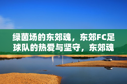 绿茵场的东郊魂,东郊FC足球队的热爱与坚守,东郊魂,绿茵场上的热爱与坚守