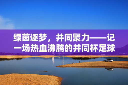 绿茵逐梦，并同聚力——记一场热血沸腾的并同杯足球赛，绿茵逐梦并同聚力，并同杯足球赛热血开赛